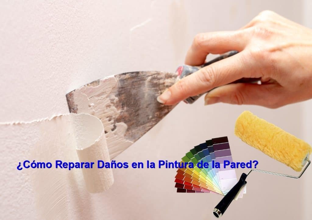 Restauracion Y Mantenimiento